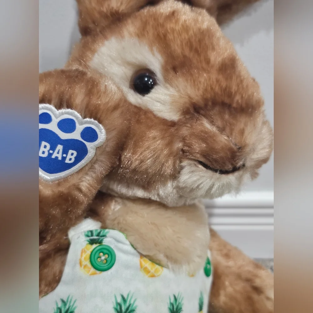 Build a Bear Peter Rabbit - Picture 4 of 6